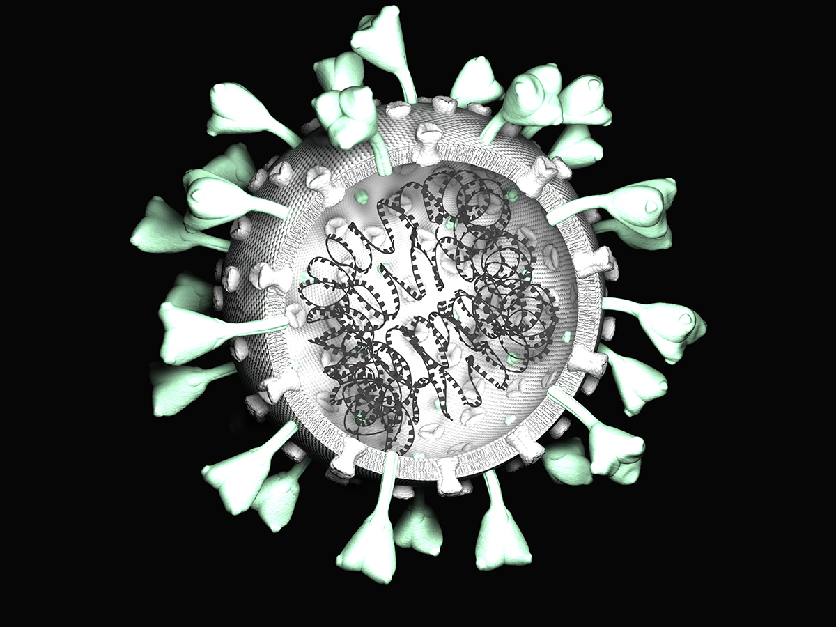 Corona Virus 