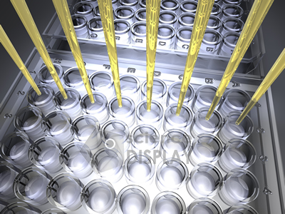 High Throughput Screening