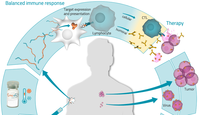 CureVac - the RNA people 