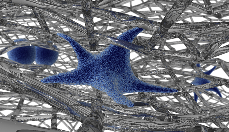 Cells in 3D cell culture