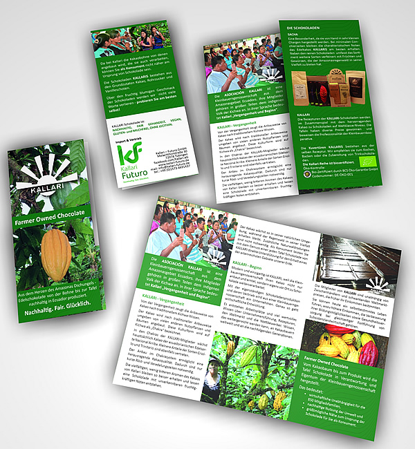 Flyer for Kallari Futuro