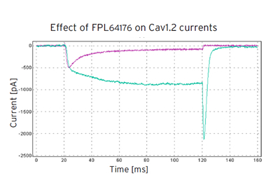 Cav1.2 effect of FPL64176 