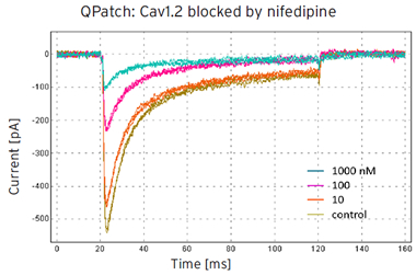 Cav1.2 QPatch blocked by nifedipine